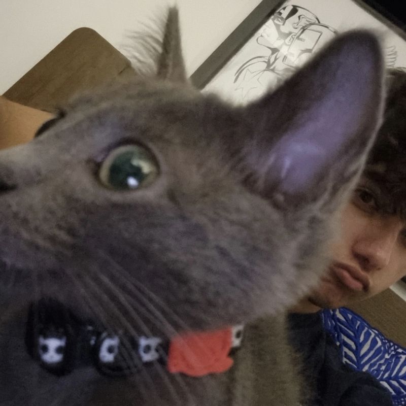 gustavo picture