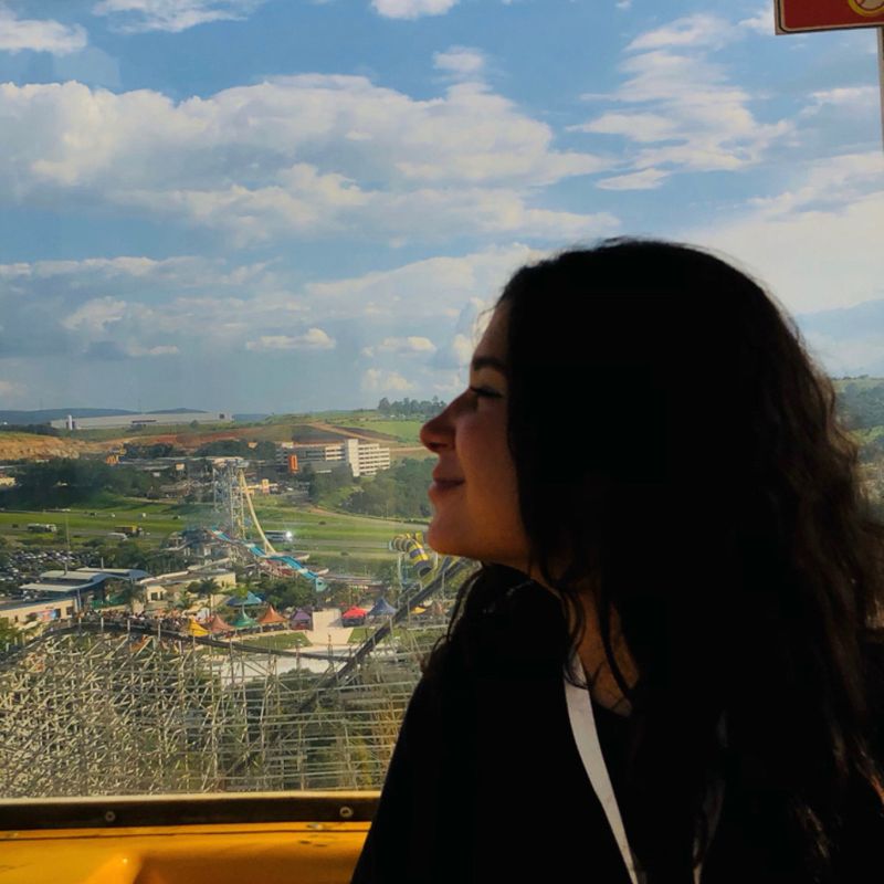 Alice Figueiredo picture