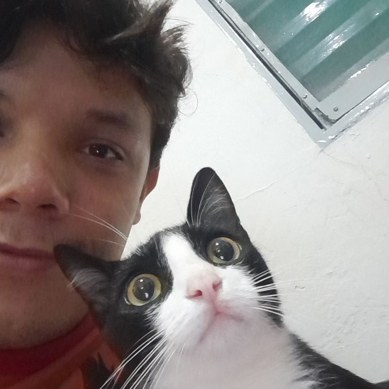 Lucas Galvão  picture