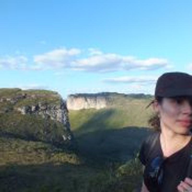 Paula Louceiro picture
