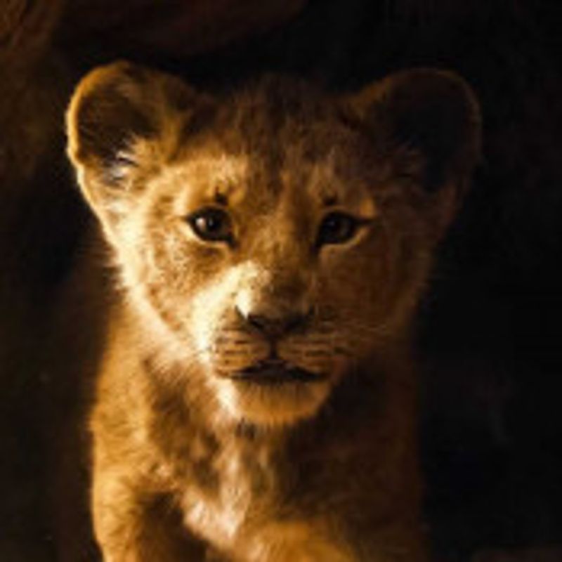 Simba leitor picture