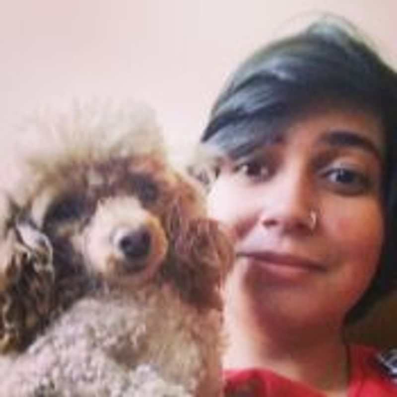 Karina Belo picture