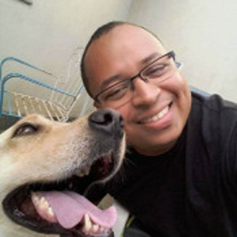 Thiago Ferreira picture