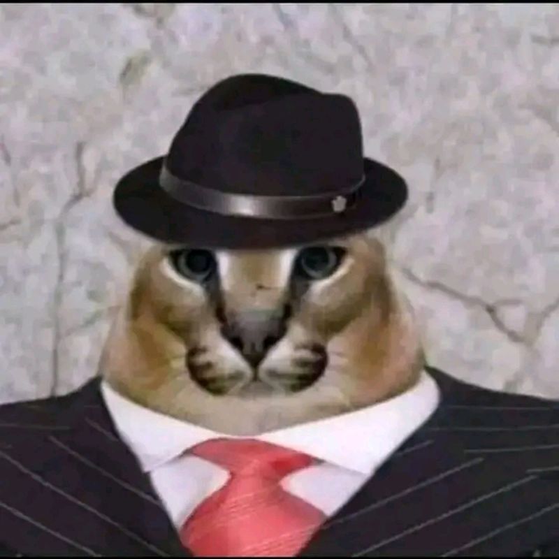 Gustavo Souza picture