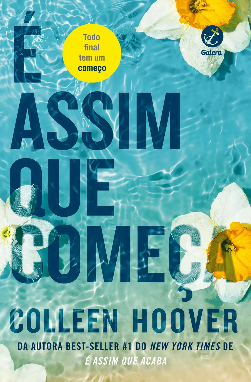 Todos os livros da Colleen Hoover - Prateleira de Cima